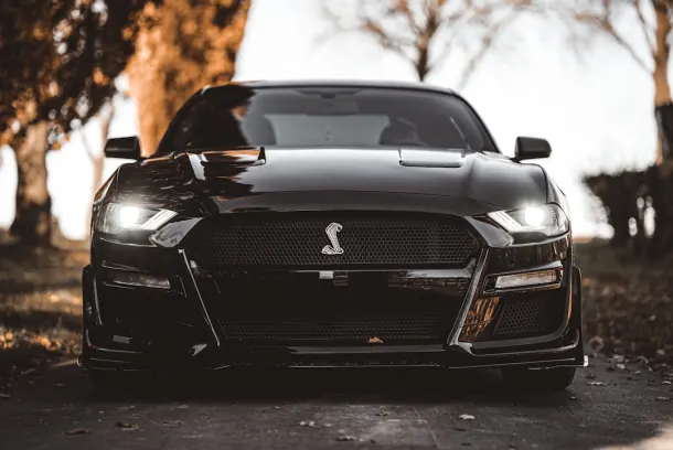 Λυκλανδ Καζίνο Εφαρμογή Android/iOS